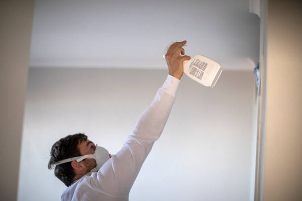 Best Professional Mold Removal  in La Habra, CA