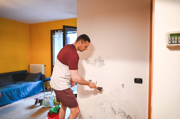 Best Mold Removal Near Me  in La Habra, CA
